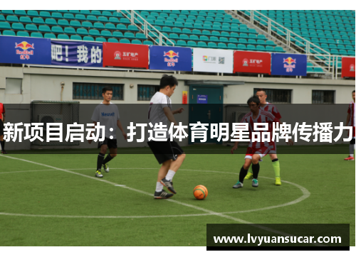 新项目启动：打造体育明星品牌传播力